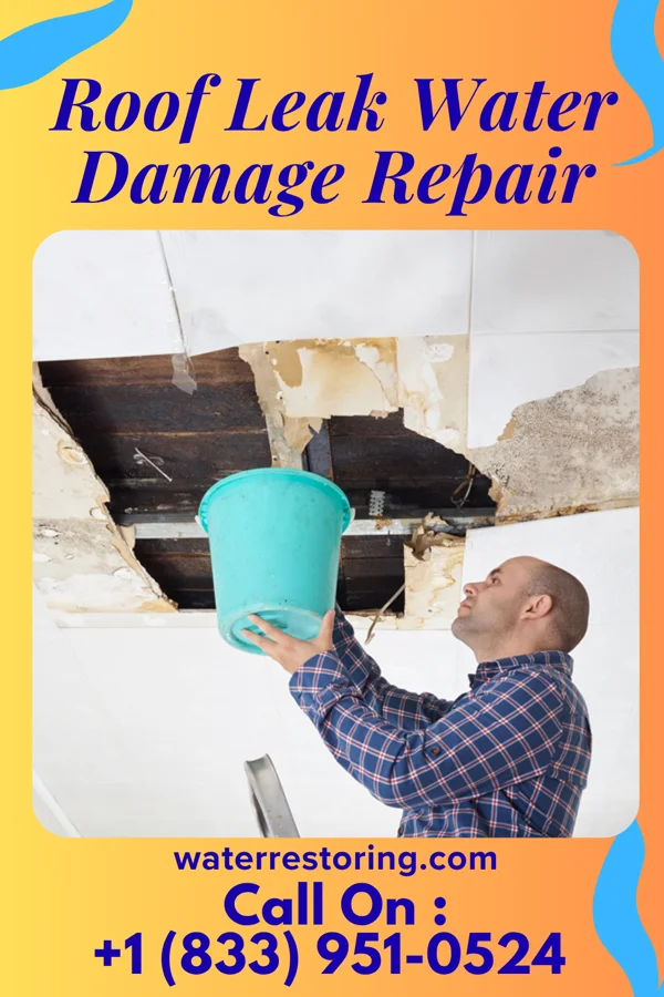 Roof Leak Water Damage Repair in Fallon Station, NV